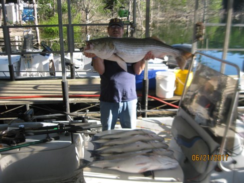 Nice Striped Bass
